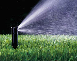 Irrigation